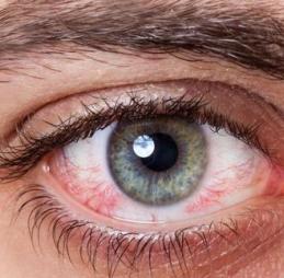 Instituto Visual Dr. David Méndez - 06